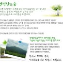 연석산&숲