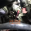 엘모터스(L-MOTORS) 이미지