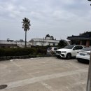 서호동-21 | 서귀포카페 식물집 분위기 좋은 서호동 카페 내돈내산 후기