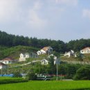 송학마을 이미지