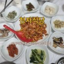 강진-12 | 강진맛집 청자식당 백반 정식 바지락회 현지인맛집 내돈내산 솔직후기