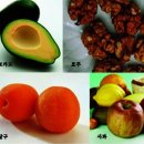 제일장수촌 이미지