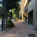 18.06.01 도쿄 3박 4일 여행 3일차 : 후지큐 하이랜드, 오오에도 온천, 4대 절규머신 다 뿌시기❤️