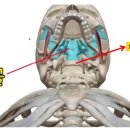 경희사랑담아한의원 이미지