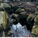 축령산 산소길(4구간) 이미지