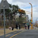 대저중앙초등학교 이미지