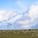 한가로이 이미지