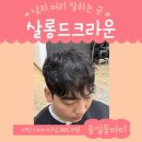 가하프라자 | 남자 머리 잘하는 곳 살롱드크라운 다산점 가빈디자이너 쉐도우펌 후기