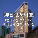 송도시장 | [부산 송도여행] 그랩디오션 숙박 후기 &amp; 자갈치시장 회배달 &amp; 바닷가 산책코스 추천 [Chill beach day...
