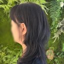 어진동제3주차장옆건너편 | 세종 어진동 미용실 캄뷰티 보타닉가든 세종 레이어드컷 번따당하는 C컬펌 찐후기 추천