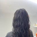 리피헤어