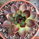 #돈마루 이미지