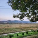 강가의 아침 민박 이미지