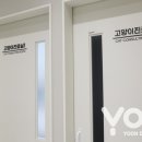 서울동물의료센터 이미지