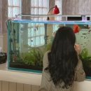 슬로우코티지 이미지