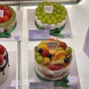 신세계빌딩 | 신세계백화점 강남점 카페디아즈 팝업 케이크 후기