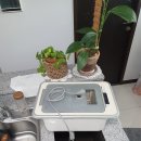 연산자이 아파트 이미지