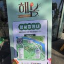 강서구-26 | [마곡 서울식물원] 이번 주말 무조건 가야 해! 강서구 '해봄 축제' 생생 후기 (feat. 내일 4/26 라인업)