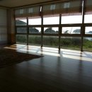 해맑은바다 이미지