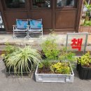 군산진약국 이미지