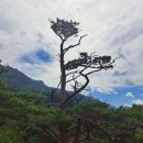 인제 여행 대승폭포 등산 초보 코스(70분) 후기