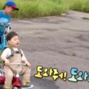 베이드