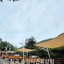 천보산자연휴양림캠핑장 | 경북 칠곡 송정자연휴양림 오토캠핑장 이용 간단 후기