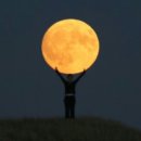 정상 체육관 이미지