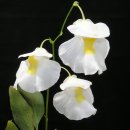 달빛주막 이미지