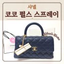 샤넬 향수 가방 키링 코코 마드모아젤 오드 빠르펭 펄스 스프레이 사용 후기
