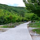 웅이네 캠핑장 이미지