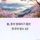 봄 이미지