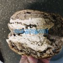 지에스25(등촌월드점) 이미지