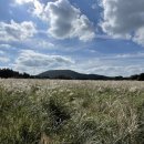 여문목장 이미지