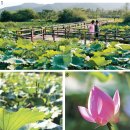 경안천습지생태공원 이미지