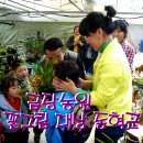 일출 난 농원 이미지