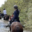 승지로 | 서울에서 1시간, 말타고 커피마시고 산타고 강건너는 외승지