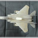 아카데미 1/48 F-15E 이글 무장형 (박스에 적혀 있는데로..) 이미지