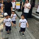 네이티브초이스
