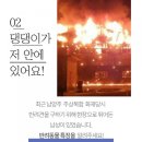 댕댕이냥 이미지