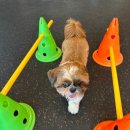 멍텔스컴바인 이미지