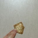 제주마농 이미지