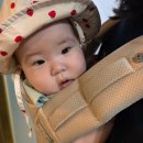 참뜰어린이집 | [육아 회고-1] 7개월 따끈이, 이유식을 시작하다! (초기이유식 후기, 추천템 비추천템, 일상 등)