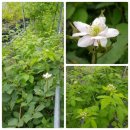 영구네농장 이미지