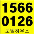 연지포레 네이버블로그