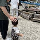아기랑 거제도 여행.(먹거리) 만선칼국수, 카페 리묘