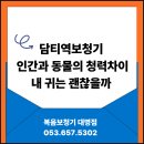 담티역 4번 출구 앞 | 담티역보청기 인간과 동물의 청력 차이 내 귀는 괜찮을까
