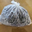 블루베리 구입 이미지