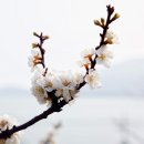 첼레스떼펜션 이미지