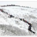 회기22 이미지